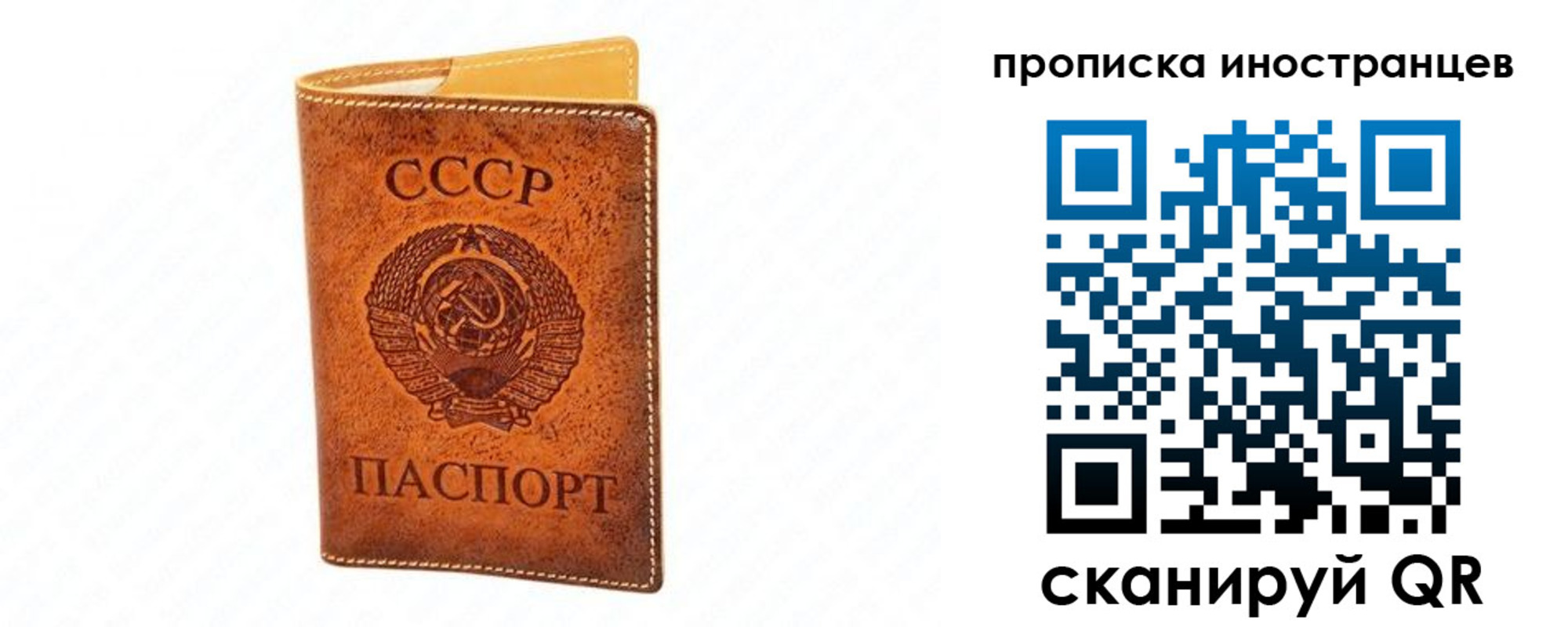 прописка для школы в Электроуглях