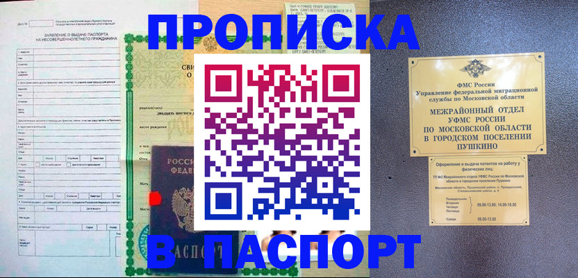 временная регистрация госуслуги в Электроуглях